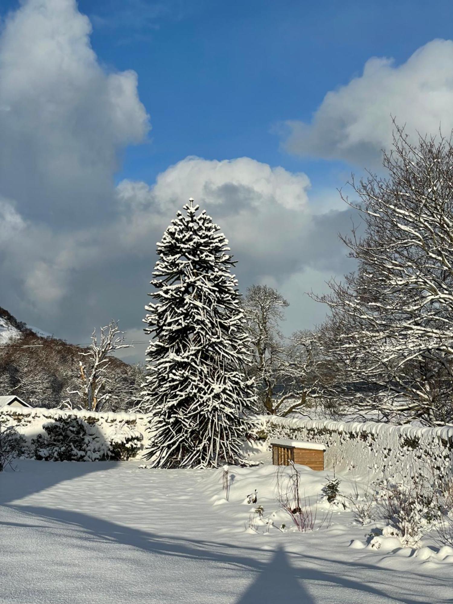 Clachan Garden B&B Garve Buitenkant foto