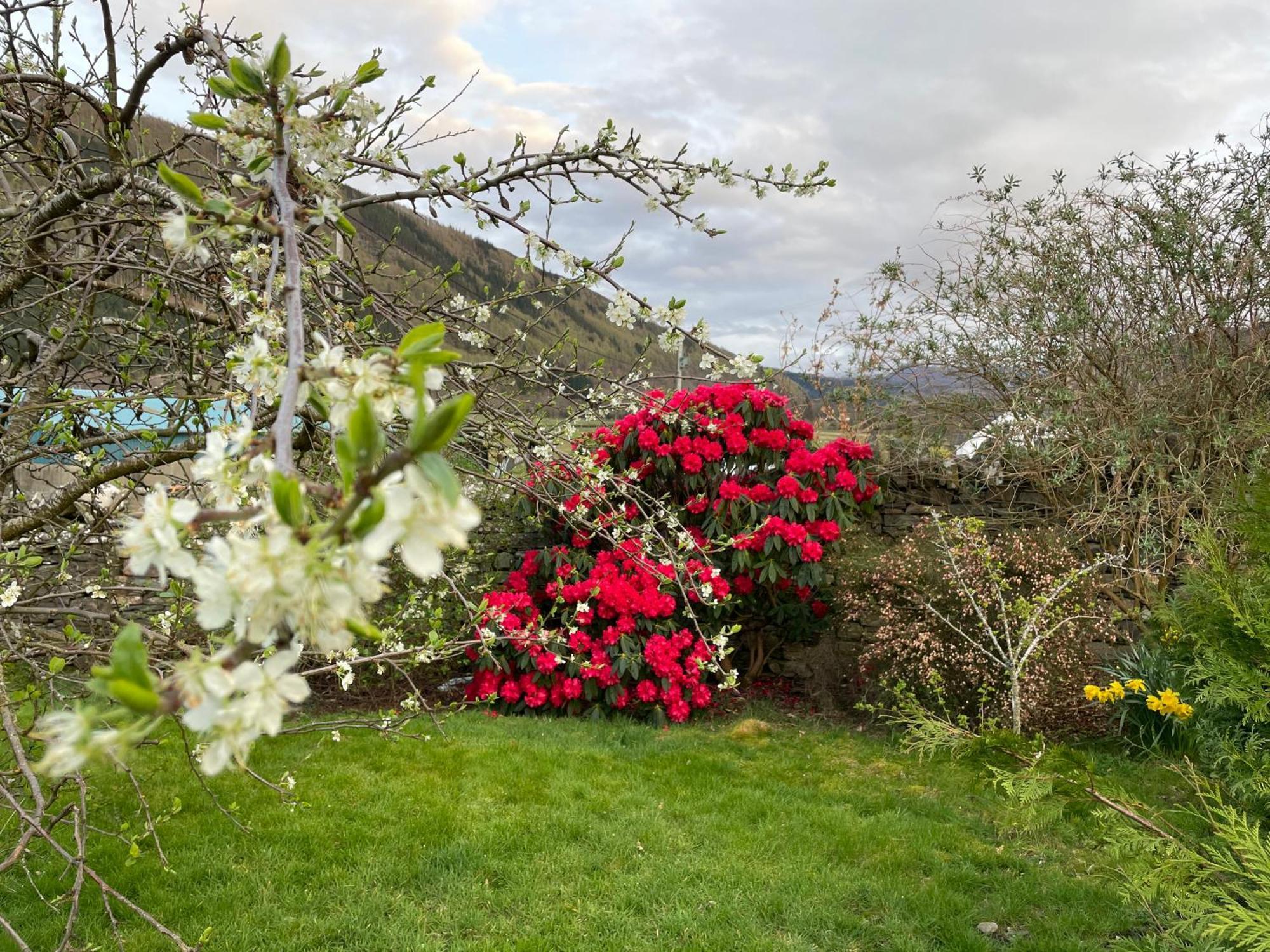Clachan Garden B&B Garve Buitenkant foto